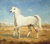 Rsa Gourlay Steell, Lord Strathnairm's Arab charger, oil board