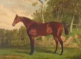 Alfred F. de Prades, A bay hunter, oil on canvas