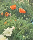 Ogden Pleissner, Poppies
