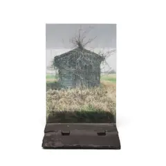 Michel Varisco, Hairy House, 2004, mixed media photographic assemblage