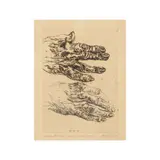 Avigdor Arikha, Eau-forte, Datée dans la planche, signée en bas à droite