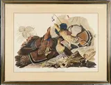John James Audubon, Ruffed Grouse (Tetrao umbellus), Plate 41, from Birds of America, 1836, Chromolithograph on paper; titled within the plate; framed