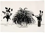 David Hockney, Two Vases of Cut Flowers and a Liriope Plant, 4-color lithograph on Japanese Toyoshi 80 paper