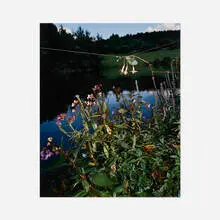 Collier Schorr, Arrangement #6 (Blumen), 2006, archival pigment print