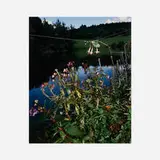 Collier Schorr, Arrangement #6 (Blumen), 2006, archival pigment print