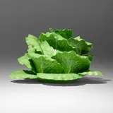 Dodie Thayer, Lettuce Ware covered tureen with plate