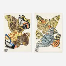 Emile Allain Séguy, Two works from the Papillons: Vingt planches en phototypie coloriées au patron donnant 81 papillons et 16 compositions décoratives portfolio, c. 1925, lithograph and pochoir