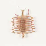 Irving Harper, Untitled (Insect), toothpick and tissue paper construction with found objects