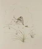 Untitled by Salvador Dalí, THE HERMIT Etching printed in colours, sold Jan 2020