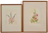 Pasquale, A Pair of Floral Watercolors, watercolor on paper