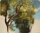 Carl Hummel, Baumstudie aus dem Park der Villa Carlotta, 1855, Öl auf Leinwand. Doubliert