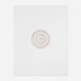 Damien Hirst, Tie a Yellow Ribbon Round the Old Oak Tree (from the In a Spin, The Action of the World on Things, Volume I portfolio), 2002, etching in colors on Hahnemühle