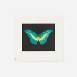 Damien Hirst, To Believe, 2008, etching in colors