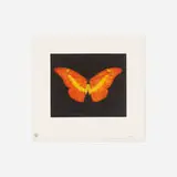 Damien Hirst, To Love, 2008, etching in colors