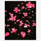 Alex Katz, White Impatiens, 2016, screenprint in colors on Saunders Waterford HP High White 425 gsm