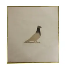 Bryan Organ, Untitled, Bryan Organ (b.1935) PIGEON Lithograph printed in colours