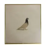 Bryan Organ, Untitled, Bryan Organ (b.1935) PIGEON Lithograph printed in colours