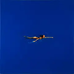 Antony Donaldson, Leigh Swimming, acrylic lacquer on fiberglass panel