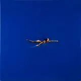 Antony Donaldson, Leigh Swimming, acrylic lacquer on fiberglass panel