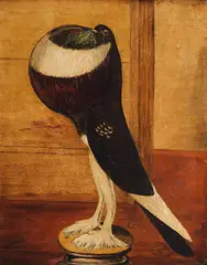 English School, A prize pouter pigeon, oil on board