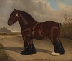 William Albert Clark, The Heavy horse 'Childwick Champion 22215', oil on canvas