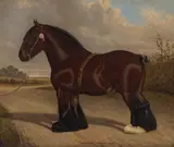 William Albert Clark, The Heavy horse 'Childwick Champion 22215', oil on canvas