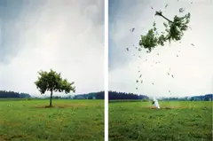 Michael Sailstorfer, Raketenbaum 1, 2008, 2-teilig: jeweils C-Print