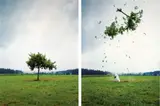 Michael Sailstorfer, Raketenbaum 1, 2008, 2-teilig: jeweils C-Print