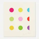 N-Methyl L-Aspartic Acid by Damien Hirst, 2011, screenprint in colors on Somerset Tub Sized, sold Feb 2022