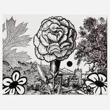 Paul Morrison, Rhexia, 2011, linocut