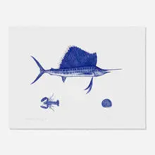 James Prosek, Marlin, Lobster and Shell, 2011, etching