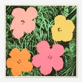 Andy Warhol, Flowers, 1964, offset lithograph on paper