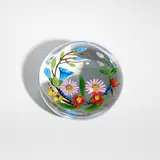 Chris Buzzini, Botanical paperweight
