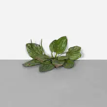Abandon No. 10 by Tony Matelli, c. 2007, bronze, vinyl paint, sold Sep 2015