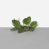 Tony Matelli, Abandon No. 10, c. 2007, bronze, vinyl paint