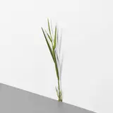 Tony Matelli, Abandon No. 153, c. 2007, bronze, vinyl paint