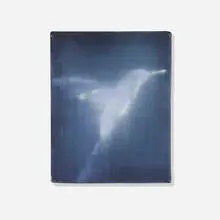 Hummingbird by Ross Bleckner, c. 2010, oil on canvas, sold Sep 2015