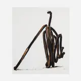 Bernar Venet, Two Undetermined Lines