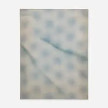 Untitled by Hugh Scott-Douglas, c. 2011, cyanotype on linen mounted to canvas, sold Sep 2015