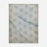 Hugh Scott-Douglas, Untitled
