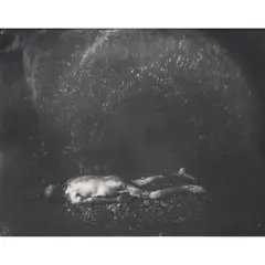 Sally Mann, Untitled (Torso) (from 'Body Farm'), 2000, Gelatin silver print; mounted