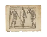 Josef Garcia el Hidalgo, Studies of Three Skeletons, from Principios para estudiar el nobilísimo y real arte de la pintura (Principles to Study the Most Noble and Royal Art of Painting) (Páez Rios I.401.848(121) ), 1693, Etching on laid paper