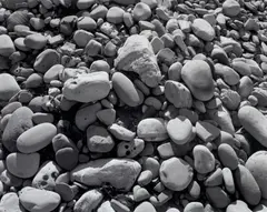 James Welling, Ellwood Beach 25, 2007, Inkjet print