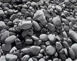 James Welling, Ellwood Beach 25, 2007, Inkjet print