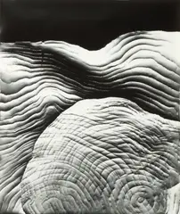 Klea McKenna, Automatic Earth #38, 2017, Unique gelatin silver photogram; signed