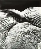 Klea McKenna, Automatic Earth #38, 2017, Unique gelatin silver photogram; signed