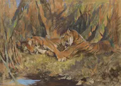 Ri Arthur Wardle, Tigers, pastel