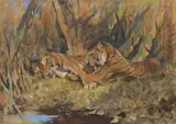 Ri Arthur Wardle, Tigers, pastel