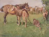 John Atkinson, Shire horses and foals; Horses at a country market