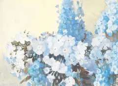 Herbert Davis Richter, Phlox, watercolour over traces of pencil